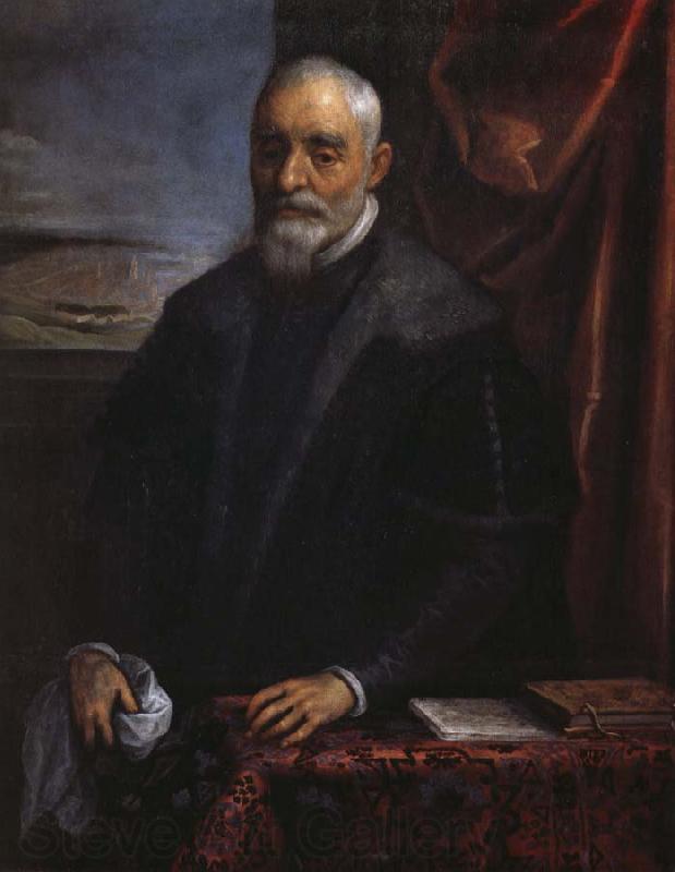 Domenico Tintoretto Official portrait Spain oil painting art